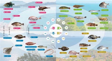 愛魚|日本の旬・魚のお話